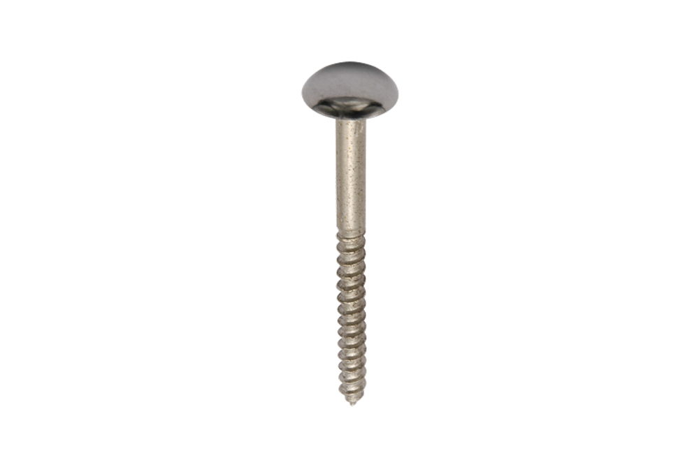 Mirror Screw